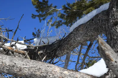 DSC_4910 (Large).JPG